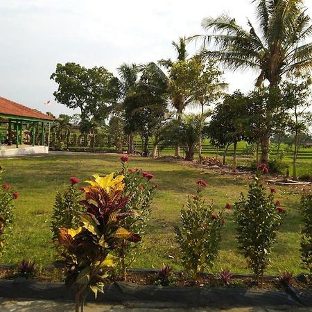 Karangpandan Putri Duyung Guest House מראה חיצוני תמונה