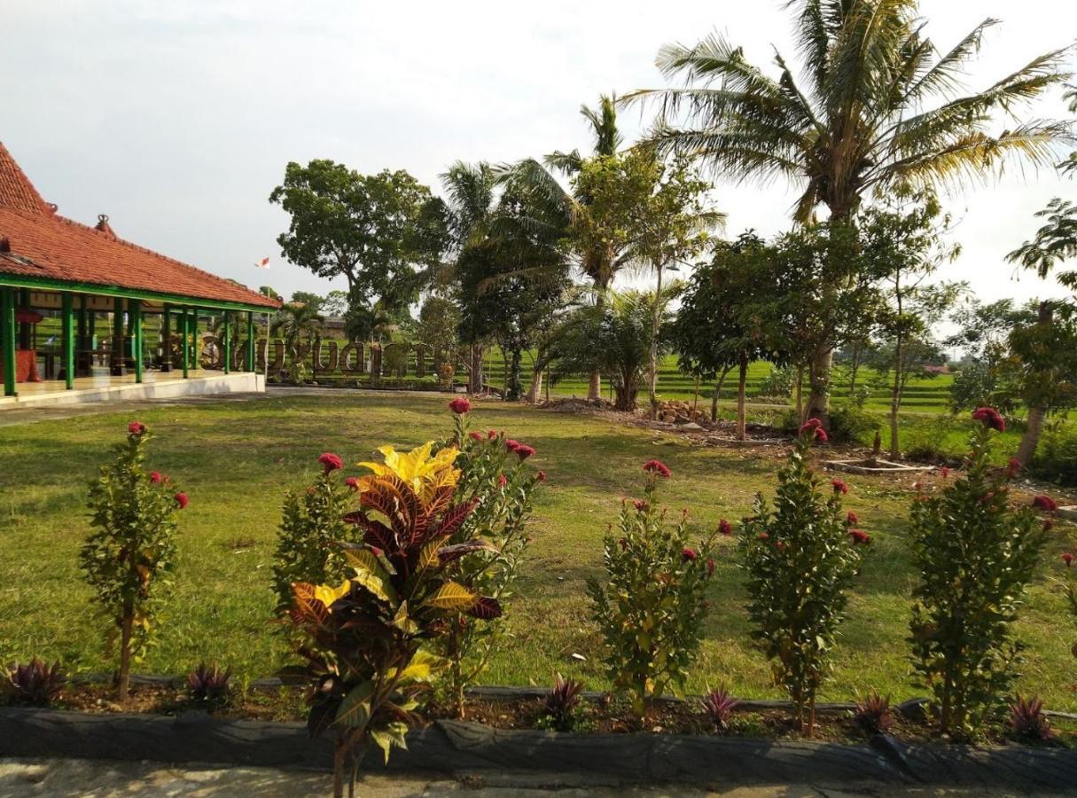 Karangpandan Putri Duyung Guest House מראה חיצוני תמונה