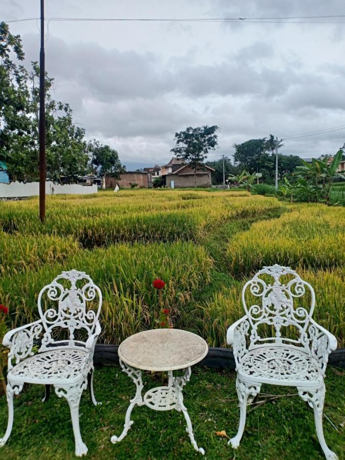 Karangpandan Putri Duyung Guest House מראה חיצוני תמונה
